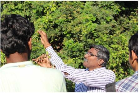 Academic Activity Picture1