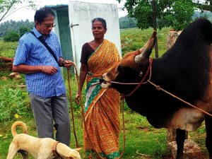 Holding the rope of the most ferocious bull which has seriously injured and maimed dozens of men, I stand before it undaunted. Ms. SELVARANI, the famous rearer of bulls in Mellur,  admires my courage. My dream has come true.